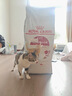 皇家皇家成猫猫粮 营养均衡 F32 通用粮 1-7岁 15KG 实拍图