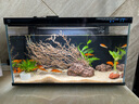画法几何鱼缸造景海绵宝宝菠萝屋装饰摆件仿真造景沉木鱼缸水族箱造景 南美风枯木造景 实拍图