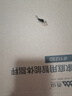 香山体脂秤 真电极智能体脂称体重秤电子秤人体秤家用减肥 16项健康数据 京东小家 云姿白【电池款】 实拍图