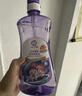 十月天使宝宝果蔬餐具清洗液玩具清洁剂洗洁精洗奶瓶植物洁净洗洁精 紫色2瓶 1kg 实拍图