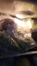 千牛优福新鲜生菜组合4斤球生菜红叶等6种沙拉蔬菜轻食蔬菜包 6种蔬菜共4斤【无酱】 实拍图