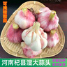 春平赋2025年新鲜大蒜头现挖新蒜紫皮大蒜批发鲜蒜红皮蒜糖醋湿蒜 9斤含箱【果径3-5cm] 4500g 实拍图