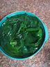 盛源来麻辣海藻沙拉200g 日韩小菜海草丝裙带菜丝海带丝寿司春游凉拌菜 实拍图
