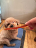 麦富迪狗零食 狗狗磨牙棒小型犬幼犬夹心牛皮鸡肉/鸭肉4包组合装720g 实拍图