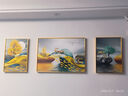 Sixpoetry 客厅装饰画现代简约沙发背景墙壁画轻奢三联晶瓷画大气高档挂画 福禄双收（铝合金外框） 晶瓷画左右35*50+中间70*50亮面 实拍图