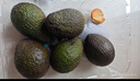 京鲜生 秘鲁进口牛油果 大果6粒装(非即食)单果重130g起 生鲜水果 实拍图