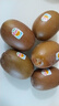 佳沛（zespri）新西兰  阳光金奇异果18粒超大果原箱单果重约173-204g 猕猴桃 实拍图