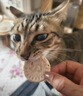 憨憨乐园猫咪零食冻干磷虾饼猫零食成幼猫营养发腮排毛美毛洁齿鸡肉冻干 实拍图
