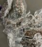 久年大连即食海参1000g18-26只官方旗舰店京东自营 海鲜辽刺参礼盒 实拍图
