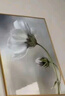 柒个画师现代简约卧室床头装饰画轻奢主卧背景墙挂画2025新款床头组合壁画 A款 尺寸50*70+50*50（适合1.8米床） 水晶面-圆角pvc黑框 实拍图