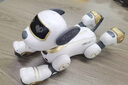 普兽儿童玩具1-3-6岁机器狗益智玩具男孩3-6岁宝宝玩具女孩生日礼物 【编程智能跟随+触摸互动】金色 实拍图