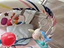babycare婴儿健身架器脚踏钢琴0-1岁新生儿礼物宝宝音乐玩具伯恩赛忠犬 实拍图