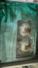 獐子岛 冷冻蒜蓉粉丝扇贝 净重600g 18只 烧烤食材 生鲜 海鲜水产  实拍图