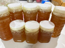 龙士达玻璃瓶密封罐500ml4只装储物罐泡酒瓶泡菜坛子杂粮茶叶干果零食瓶 实拍图