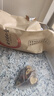 同仁堂人参枸杞六宝茶桑葚桂圆茶黑枸杞红枣茶气肾补养生茶450g 实拍图