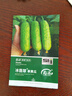 寿禾 强雌性旱黄瓜种子种苗春季蔬菜种籽 潍育冰翡翠旱黄瓜种子50粒 实拍图