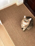 喵仙儿猫抓板剑麻垫耐磨不掉屑防猫爪沙发保护墙贴猫抓垫猫咪用品 40*60 实拍图