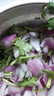 带根香菜100g 实拍图