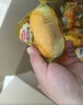 达利园法式软面包香奶味3斤整箱装休闲零食手撕营养早餐饼干代餐糕点 实拍图