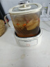 九阳（Joyoung）净萃养生壶迷你家用全玻璃煮茶器 轻音炖煮 1L办公室0金属0胶水恒温烧水壶 WY103 实拍图