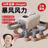 华元宠具（hoopet）宠物吹水机狗狗大型犬电吹风机猫咪大功率烘干箱洗澡吹干吹毛神器 实拍图