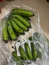 高山精品甜蕉现摘新鲜水果香蕉孕妇宝宝辅食搭配丫丫生鲜特产 9斤装【青蕉发货】 实拍图