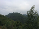 志高（CHIGO）电热水龙头 快热加热热水小厨宝 即热式电热水器 速热水龙头 送漏保 侧进水ZG-ZS815-1 实拍图