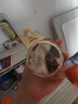 儒意（RUYI）黄芪霜80g老牌子国货紧致抗皱补水保湿舒缓面霜男女士护肤品礼物 实拍图