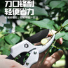 EVANLEY德国EVANLEY果树剪枝剪修枝剪省力剪子园林盆栽花卉园艺修剪树 【进口配置】SK5钢特氟龙修枝剪 实拍图