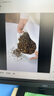京东京造 经典荞荞枕 100%荞麦壳填充透气高度可调花草枕头枕芯单只装 实拍图