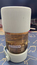 北鼎（Buydeem）泡茶随手杯 茶水分离家用耐高温玻璃杯便携办公水杯节日送礼 【浅杉绿】随身带|茶水分离360ml 实拍图