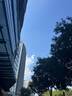 十月结晶 收腹带三件套产后塑身束腹带顺产剖腹(收腹带+收胃带+盆骨带)XL 实拍图