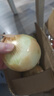 新鲜黄洋葱黄金水果洋葱即食蔬菜调料烧烤食材 新鲜黄洋葱 3斤 含箱 实拍图