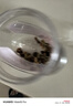 新边界 精选多彩葡萄干500g 红提子果干新疆特产蜜饯锁鲜罐装绿葡萄干 实拍图