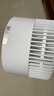 NIYEVN【霸榜热销10万+丨全屋降温】电风扇静音卧室超静音空调扇制冷风扇一级能效家用落地扇空气循环扇 NIYEVN正品保障（勿拍不发货） 实拍图