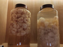 九江双蒸 米香型白酒 38度浸泡酒5.1L 广东米酒浸泡青梅果酒送礼白酒 实拍图