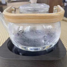 豪峰2025新款整套电陶炉蒸煮一体家用烧水泡茶壶茶具套装教师节礼物 实拍图