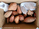京鲜生&家美舒达 山东 正宗烟薯25 糖心流油烤薯 红薯 4斤 新鲜蔬菜 实拍图