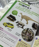 中小学数理化畅通入门工具书 秒懂抽象概念（万物的尺度+万物的本原）浪花朵朵暑假作业 一升二暑假衔接 小升初暑假衔接 实拍图