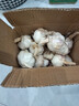 【百万单爆品】紫白皮蒜水果大蒜超市生鲜蔬菜调料即食蒜 【优选】 1斤 单果3.5-5cm 实拍图