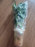 绿有意观音竹富贵竹水培植物带根花卉绿植绿萝室内盆栽转运竹子水养好养 观音竹2支（活动款 无盆） 实拍图
