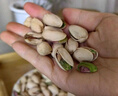 三只松鼠罐装开心果1.1kg 坚果炒货干果量贩无漂白休闲零食团购送礼  实拍图