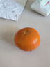 京鲜生 阳丰脆甜柿 净重8.5-9斤单果130g+  水果源头直发包邮 实拍图