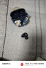 SANAG塞那S6S Pro骨传导蓝牙耳机耳夹概念开放式无线夹耳式不入耳听力保护运动跑步通话降噪耳夹耳机 实拍图