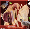 土鲜福现杀新鲜老鹧鸪鸟鸡非活体嘎嘎鸡飞龙肉散养鹧鸪肉生鲜鸟肉 2只鹧鸪 实拍图
