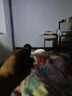【亮如白昼】LED强光手电变焦远射超高续航户外多功能可充电便携 标配款-400毫安（科技款） 实拍图