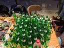 范佳乐（原教士啤酒）德国小麦白啤酒500ml*12听整箱装春日出游 实拍图