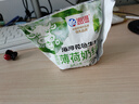 海河牛奶早餐奶天津海河网红风味奶日期新鲜可批发袋装奶 海河薄荷奶绿220ml*10包 实拍图