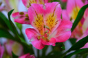 适马（SIGMA）16-300mm f3.5-6.7 DC OS ｜Contemporary 半画幅 远摄变焦镜头 旅游风光人像（富士X卡口） 实拍图