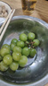北蔬 水果黄瓜种子苗青瓜夏盆栽菜籽 卓脆潍胖二号水果黄瓜种子100粒 实拍图